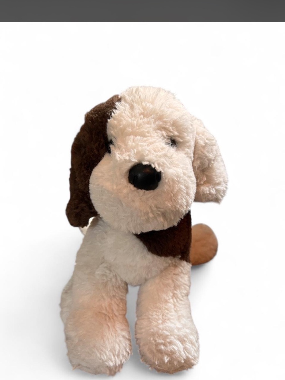 Plush Brown and Cream Douglas Puppy Dog